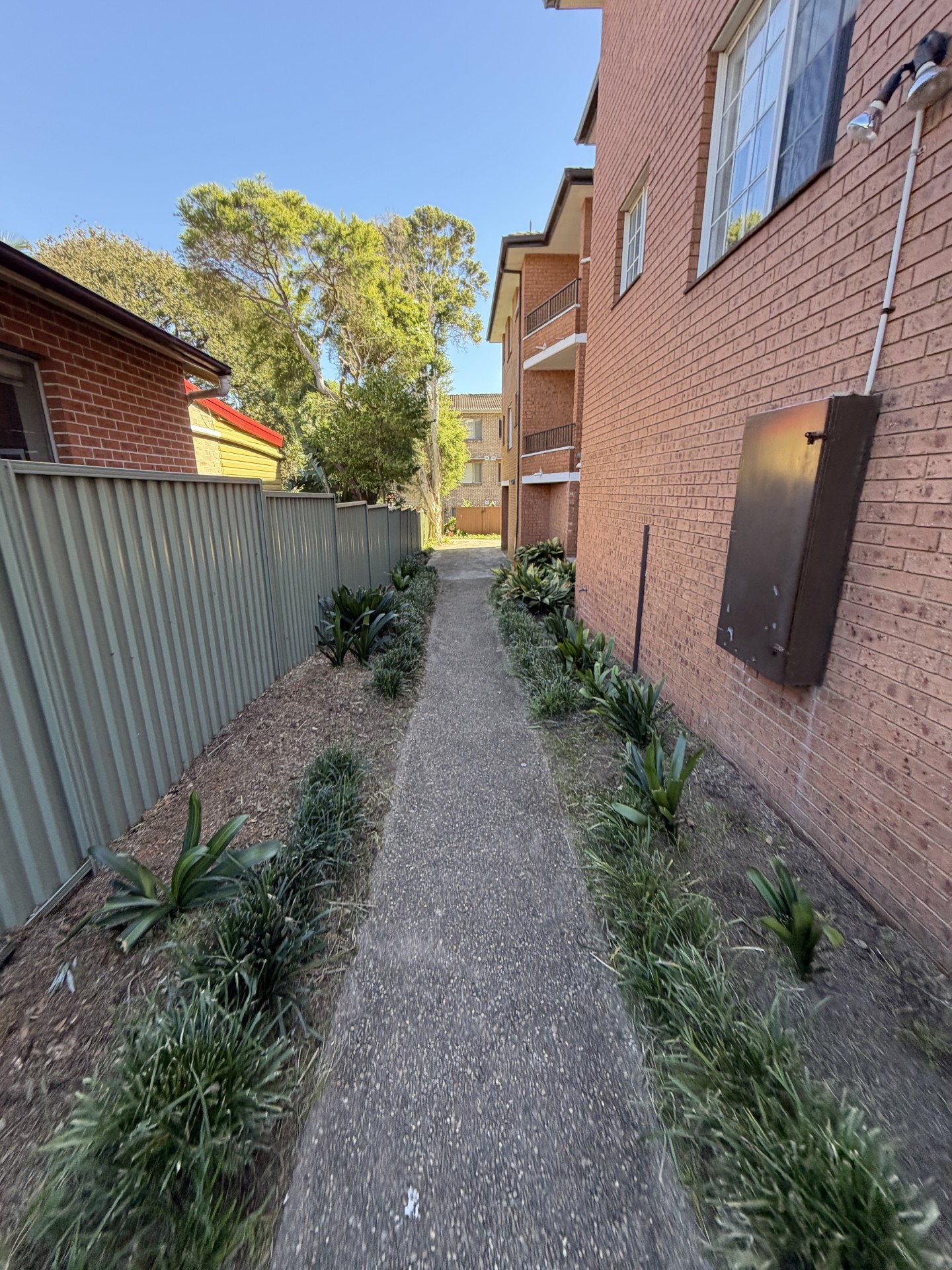 Garden path after clearing