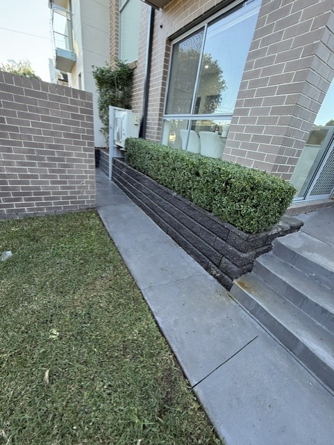 Pathway after cleaning