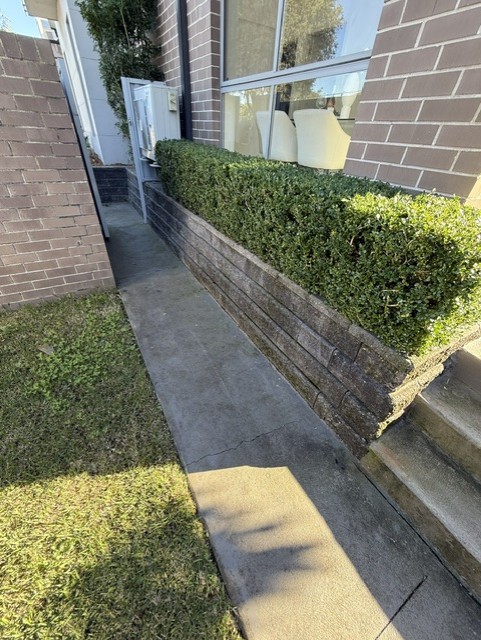 Pathway before cleaning